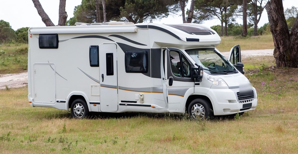 Een witte motorhome met open portier, op een grasveld tussen pijnbomen